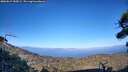 ./images/calvert/fitz-hugh-hecate/20260819/fitz-hugh-hecate20260819_185002M.jpg