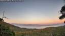 ./images/calvert/fitz-hugh-hecate/20260819/fitz-hugh-hecate20260819_204002M.jpg