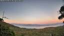 ./images/calvert/fitz-hugh-hecate/20260819/fitz-hugh-hecate20260819_204502M.jpg
