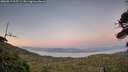 ./images/calvert/fitz-hugh-hecate/20260819/fitz-hugh-hecate20260819_205501M.jpg