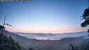 ./images/calvert/fitz-hugh-hecate/20260820/fitz-hugh-hecate20260820_061002M.jpg