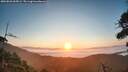 ./images/calvert/fitz-hugh-hecate/20260820/fitz-hugh-hecate20260820_065001M.jpg