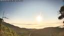 ./images/calvert/fitz-hugh-hecate/20260820/fitz-hugh-hecate20260820_073501M.jpg