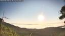 ./images/calvert/fitz-hugh-hecate/20260820/fitz-hugh-hecate20260820_074502M.jpg