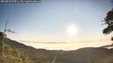 ./images/calvert/fitz-hugh-hecate/20260820/fitz-hugh-hecate20260820_075001M.jpg