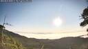 ./images/calvert/fitz-hugh-hecate/20260820/fitz-hugh-hecate20260820_080001M.jpg