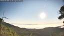 ./images/calvert/fitz-hugh-hecate/20260820/fitz-hugh-hecate20260820_080501M.jpg