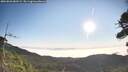 ./images/calvert/fitz-hugh-hecate/20260820/fitz-hugh-hecate20260820_082501M.jpg