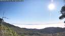 ./images/calvert/fitz-hugh-hecate/20260820/fitz-hugh-hecate20260820_092501M.jpg