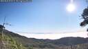 ./images/calvert/fitz-hugh-hecate/20260820/fitz-hugh-hecate20260820_093501M.jpg