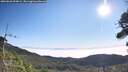 ./images/calvert/fitz-hugh-hecate/20260820/fitz-hugh-hecate20260820_094001M.jpg