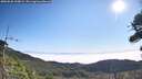 ./images/calvert/fitz-hugh-hecate/20260820/fitz-hugh-hecate20260820_100001M.jpg