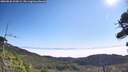 ./images/calvert/fitz-hugh-hecate/20260820/fitz-hugh-hecate20260820_103002M.jpg