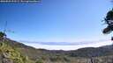 ./images/calvert/fitz-hugh-hecate/20260820/fitz-hugh-hecate20260820_113502M.jpg