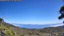 ./images/calvert/fitz-hugh-hecate/20260820/fitz-hugh-hecate20260820_131002M.jpg