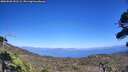 ./images/calvert/fitz-hugh-hecate/20260820/fitz-hugh-hecate20260820_151501M.jpg