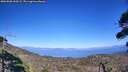 ./images/calvert/fitz-hugh-hecate/20260820/fitz-hugh-hecate20260820_160502M.jpg