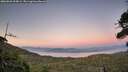 ./images/calvert/fitz-hugh-hecate/20260820/fitz-hugh-hecate20260820_205001M.jpg
