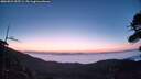 ./images/calvert/fitz-hugh-hecate/20260821/fitz-hugh-hecate20260821_055501M.jpg
