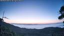 ./images/calvert/fitz-hugh-hecate/20260821/fitz-hugh-hecate20260821_060501M.jpg