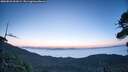 ./images/calvert/fitz-hugh-hecate/20260821/fitz-hugh-hecate20260821_061001M.jpg