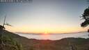 ./images/calvert/fitz-hugh-hecate/20260821/fitz-hugh-hecate20260821_064001M.jpg