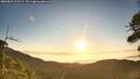 ./images/calvert/fitz-hugh-hecate/20260821/fitz-hugh-hecate20260821_071501M.jpg