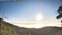 ./images/calvert/fitz-hugh-hecate/20260821/fitz-hugh-hecate20260821_074501M.jpg
