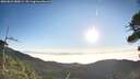 ./images/calvert/fitz-hugh-hecate/20260821/fitz-hugh-hecate20260821_080001M.jpg