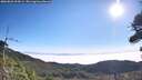 ./images/calvert/fitz-hugh-hecate/20260821/fitz-hugh-hecate20260821_094501M.jpg