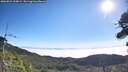 ./images/calvert/fitz-hugh-hecate/20260821/fitz-hugh-hecate20260821_100001M.jpg