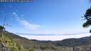 ./images/calvert/fitz-hugh-hecate/20260821/fitz-hugh-hecate20260821_113001M.jpg