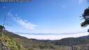 ./images/calvert/fitz-hugh-hecate/20260821/fitz-hugh-hecate20260821_113501M.jpg
