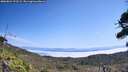 ./images/calvert/fitz-hugh-hecate/20260821/fitz-hugh-hecate20260821_123501M.jpg