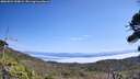 ./images/calvert/fitz-hugh-hecate/20260821/fitz-hugh-hecate20260821_130001M.jpg
