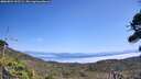./images/calvert/fitz-hugh-hecate/20260821/fitz-hugh-hecate20260821_132501M.jpg