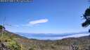 ./images/calvert/fitz-hugh-hecate/20260821/fitz-hugh-hecate20260821_140002M.jpg