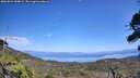 ./images/calvert/fitz-hugh-hecate/20260821/fitz-hugh-hecate20260821_144001M.jpg