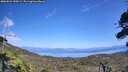 ./images/calvert/fitz-hugh-hecate/20260821/fitz-hugh-hecate20260821_150501M.jpg