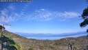 ./images/calvert/fitz-hugh-hecate/20260821/fitz-hugh-hecate20260821_153501M.jpg
