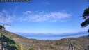 ./images/calvert/fitz-hugh-hecate/20260821/fitz-hugh-hecate20260821_154001M.jpg