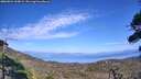 ./images/calvert/fitz-hugh-hecate/20260821/fitz-hugh-hecate20260821_160001M.jpg