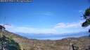 ./images/calvert/fitz-hugh-hecate/20260821/fitz-hugh-hecate20260821_170501M.jpg