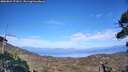 ./images/calvert/fitz-hugh-hecate/20260821/fitz-hugh-hecate20260821_171001M.jpg