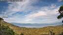 ./images/calvert/fitz-hugh-hecate/20260821/fitz-hugh-hecate20260821_183501M.jpg