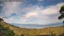 ./images/calvert/fitz-hugh-hecate/20260821/fitz-hugh-hecate20260821_184502M.jpg
