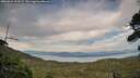./images/calvert/fitz-hugh-hecate/20260821/fitz-hugh-hecate20260821_192502M.jpg