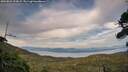 ./images/calvert/fitz-hugh-hecate/20260821/fitz-hugh-hecate20260821_193002M.jpg