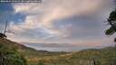 ./images/calvert/fitz-hugh-hecate/20260821/fitz-hugh-hecate20260821_202002M.jpg