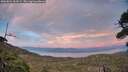 ./images/calvert/fitz-hugh-hecate/20260821/fitz-hugh-hecate20260821_203502M.jpg